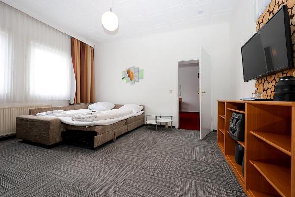 Appartement (Wohnbereich mit Schlafcouch)